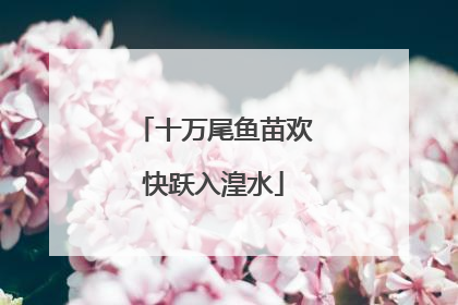 十万尾鱼苗欢快跃入湟水
