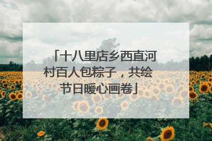 十八里店乡西直河村百人包粽子，共绘节日暖心画卷