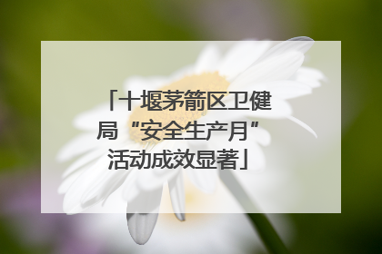 十堰茅箭区卫健局“安全生产月”活动成效显著