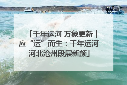 千年运河 万象更新｜应“运”而生：千年运河河北沧州段展新颜