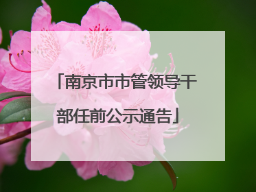 南京市市管领导干部任前公示通告