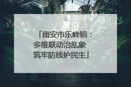南安市乐峰镇：多维联动治乱象 筑牢防线护民生