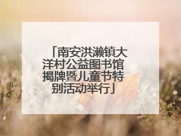 南安洪濑镇大洋村公益图书馆揭牌暨儿童节特别活动举行