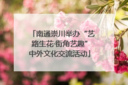 南通崇川举办“艺路生花·街角艺趣”中外文化交流活动