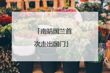 南靖国兰首次走出国门