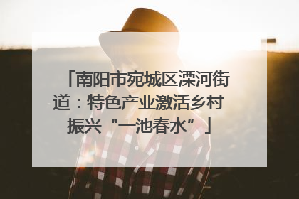 南阳市宛城区溧河街道：特色产业激活乡村振兴“一池春水”
