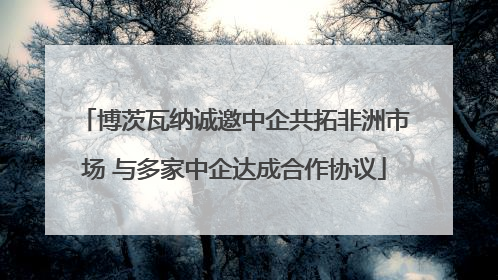 博茨瓦纳诚邀中企共拓非洲市场 与多家中企达成合作协议