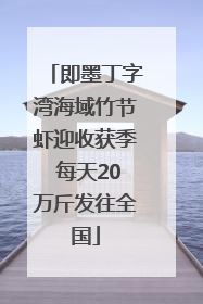 即墨丁字湾海域竹节虾迎收获季 每天20万斤发往全国