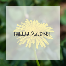 县上见·文武新化