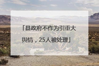 县政府不作为引重大舆情，25人被处理