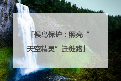 候鸟保护：照亮“天空精灵”迁徙路