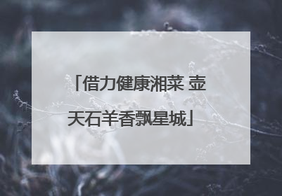 借力健康湘菜 壶天石羊香飘星城