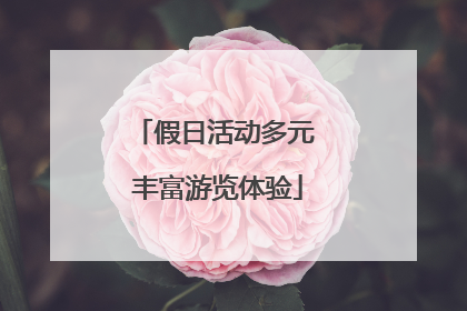 假日活动多元 丰富游览体验