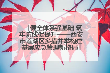 健全体系强基础 筑牢防线促提升——西安市莲湖区多措并举构建基层应急管理新格局