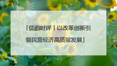 儒韵时评丨以改革创新引领民营经济高质量发展