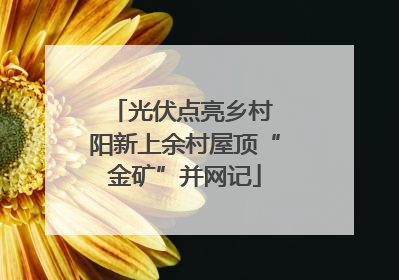 光伏点亮乡村 阳新上余村屋顶“金矿”并网记
