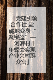 党建引领合作社 盐碱地变身“聚宝盆”——河涯村十年蝶变实现产业兴村群众富