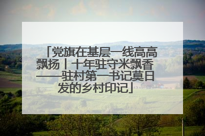 党旗在基层一线高高飘扬丨十年驻守米飘香——驻村第一书记莫日发的乡村印记
