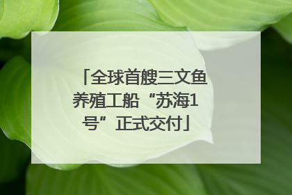 全球首艘三文鱼养殖工船“苏海1号”正式交付