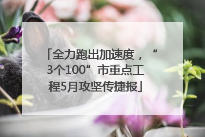 全力跑出加速度，“3个100”市重点工程5月攻坚传捷报
