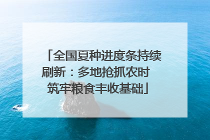 全国夏种进度条持续刷新：多地抢抓农时 筑牢粮食丰收基础