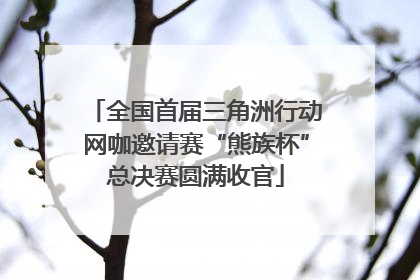 全国首届三角洲行动网咖邀请赛“熊族杯”总决赛圆满收官