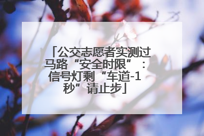 公交志愿者实测过马路“安全时限”：信号灯剩“车道-1秒”请止步
