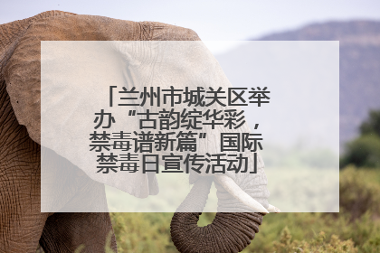 兰州市城关区举办“古韵绽华彩，禁毒谱新篇”国际禁毒日宣传活动