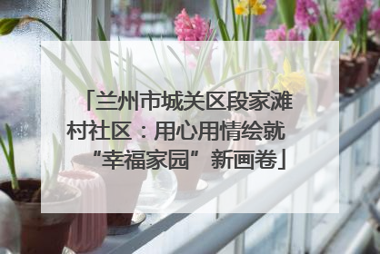 兰州市城关区段家滩村社区：用心用情绘就“幸福家园”新画卷