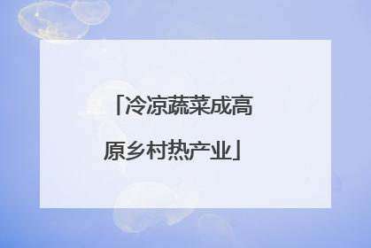 冷凉蔬菜成高原乡村热产业