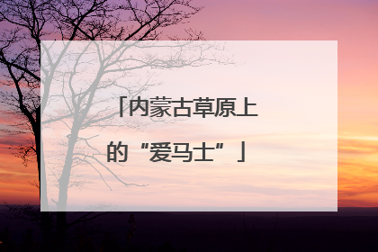 内蒙古草原上的“爱马士”