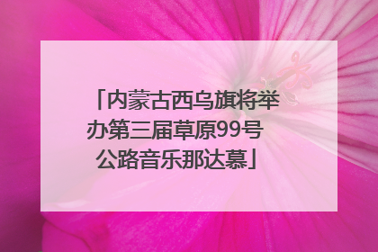 内蒙古西乌旗将举办第三届草原99号公路音乐那达慕