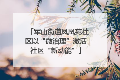 军山街道凤凰苑社区以“微治理”激活社区“新动能”