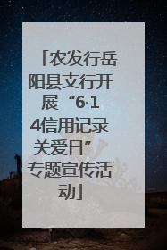农发行岳阳县支行开展“6·14信用记录关爱日” 专题宣传活动