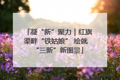 凝“新”聚力｜红旗渠畔“铁姑娘” 绘就“三新”新图景