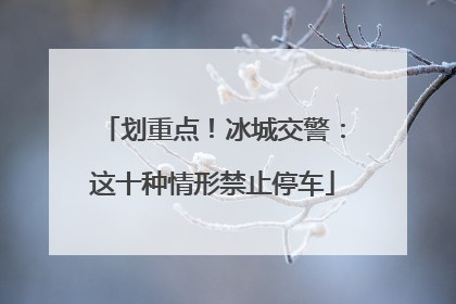 划重点！冰城交警：这十种情形禁止停车