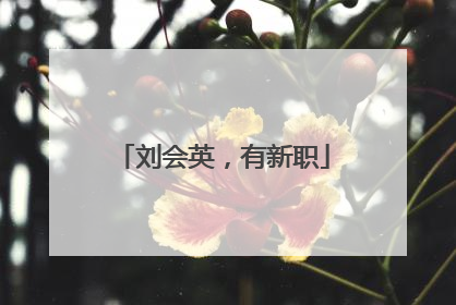 刘会英，有新职