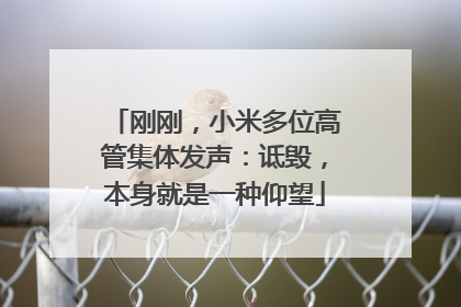 刚刚，小米多位高管集体发声：诋毁，本身就是一种仰望