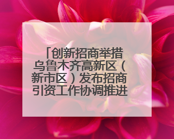 创新招商举措 乌鲁木齐高新区（新市区）发布招商引资工作协调推进机制 打造投资发展新高地