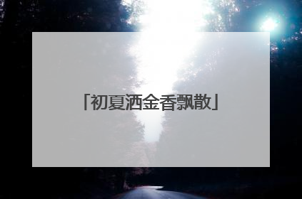 初夏洒金香飘散
