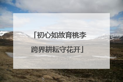 初心如故育桃李 跨界耕耘守花开