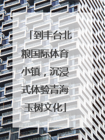到丰台北粮国际体育小镇，沉浸式体验青海玉树文化