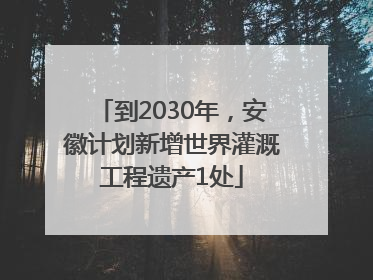 到2030年，安徽计划新增世界灌溉工程遗产1处