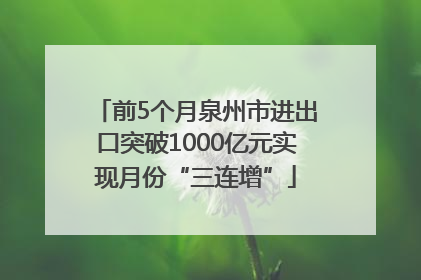 前5个月泉州市进出口突破1000亿元实现月份“三连增”