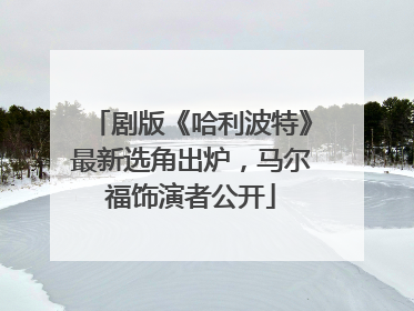 剧版《哈利波特》最新选角出炉，马尔福饰演者公开