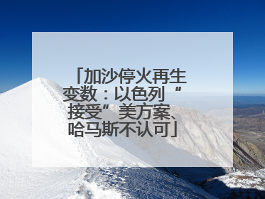 加沙停火再生变数：以色列“接受”美方案、哈马斯不认可