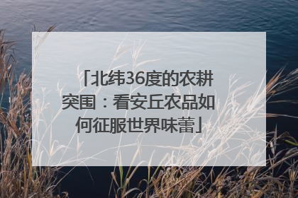北纬36度的农耕突围：看安丘农品如何征服世界味蕾
