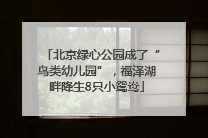 北京绿心公园成了“鸟类幼儿园”，福泽湖畔降生8只小鸳鸯