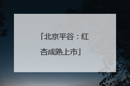 北京平谷：红杏成熟上市