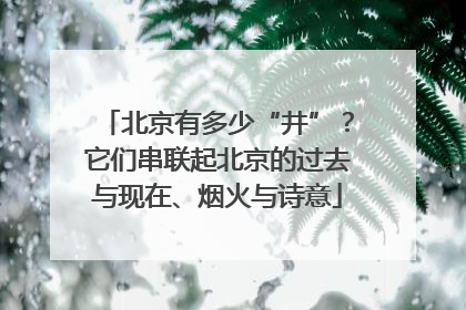 北京有多少“井”？它们串联起北京的过去与现在、烟火与诗意